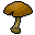 Champignon