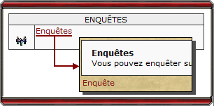 Enqu&ecirc;tes